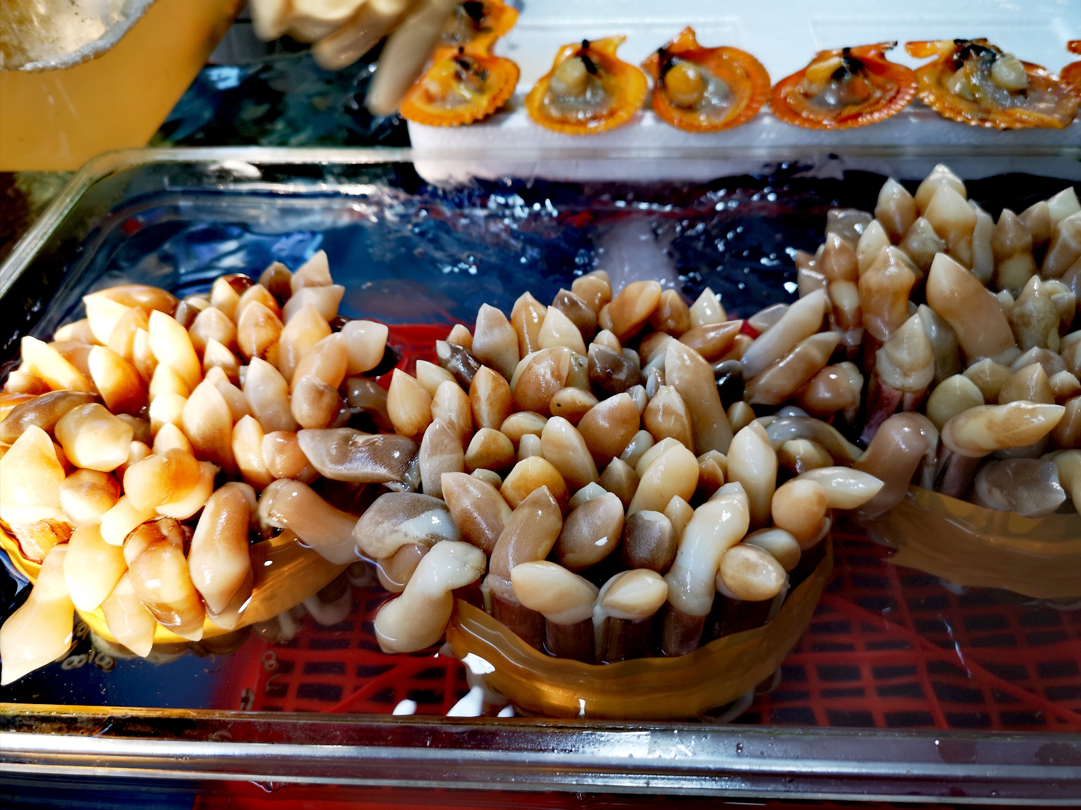 雨天东兴万尾金滩游,冬季东兴万尾金滩