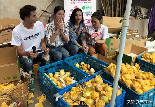 农民返乡创业有哪些好项目可以做,返乡创业致富的方法有哪些