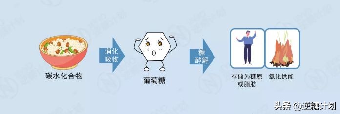 糖类和血脂的区别,糖类吃多了会引起血脂粘稠吗