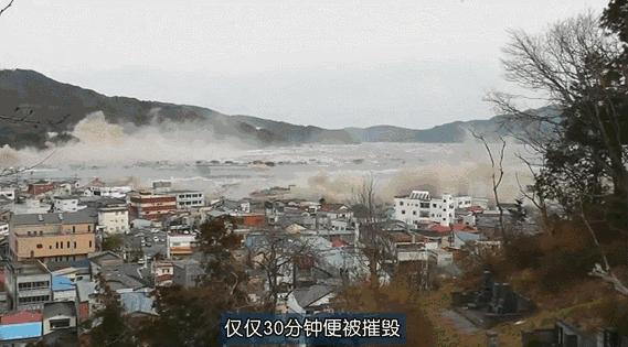 日本高分纪录片免费观看,日本的高分纪录片