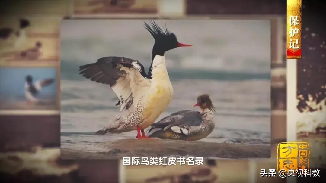 影像方志天峻,中国影像方志四川大竹篇