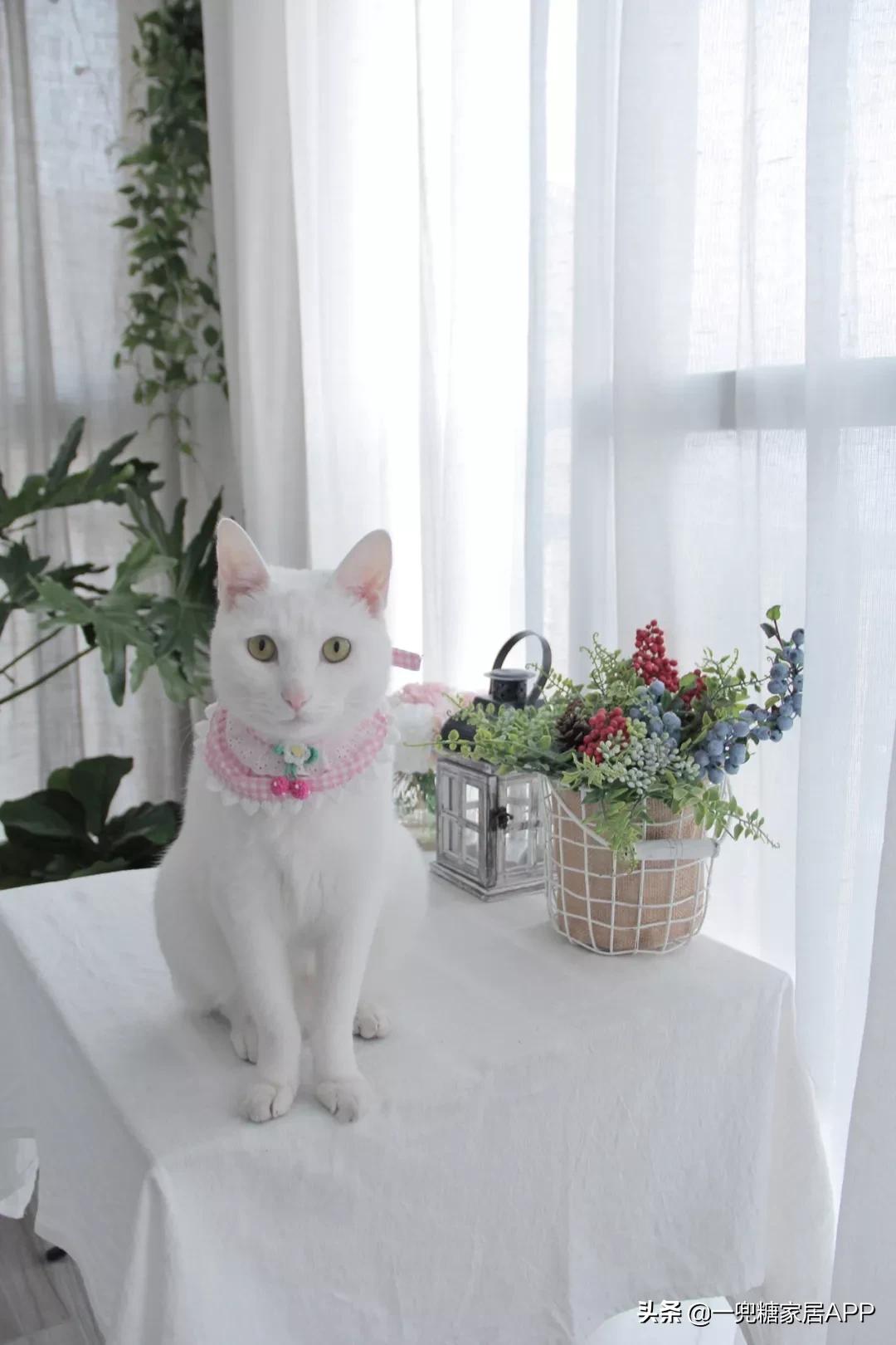 武汉宅家的第42天,武汉宅在家14天的感受