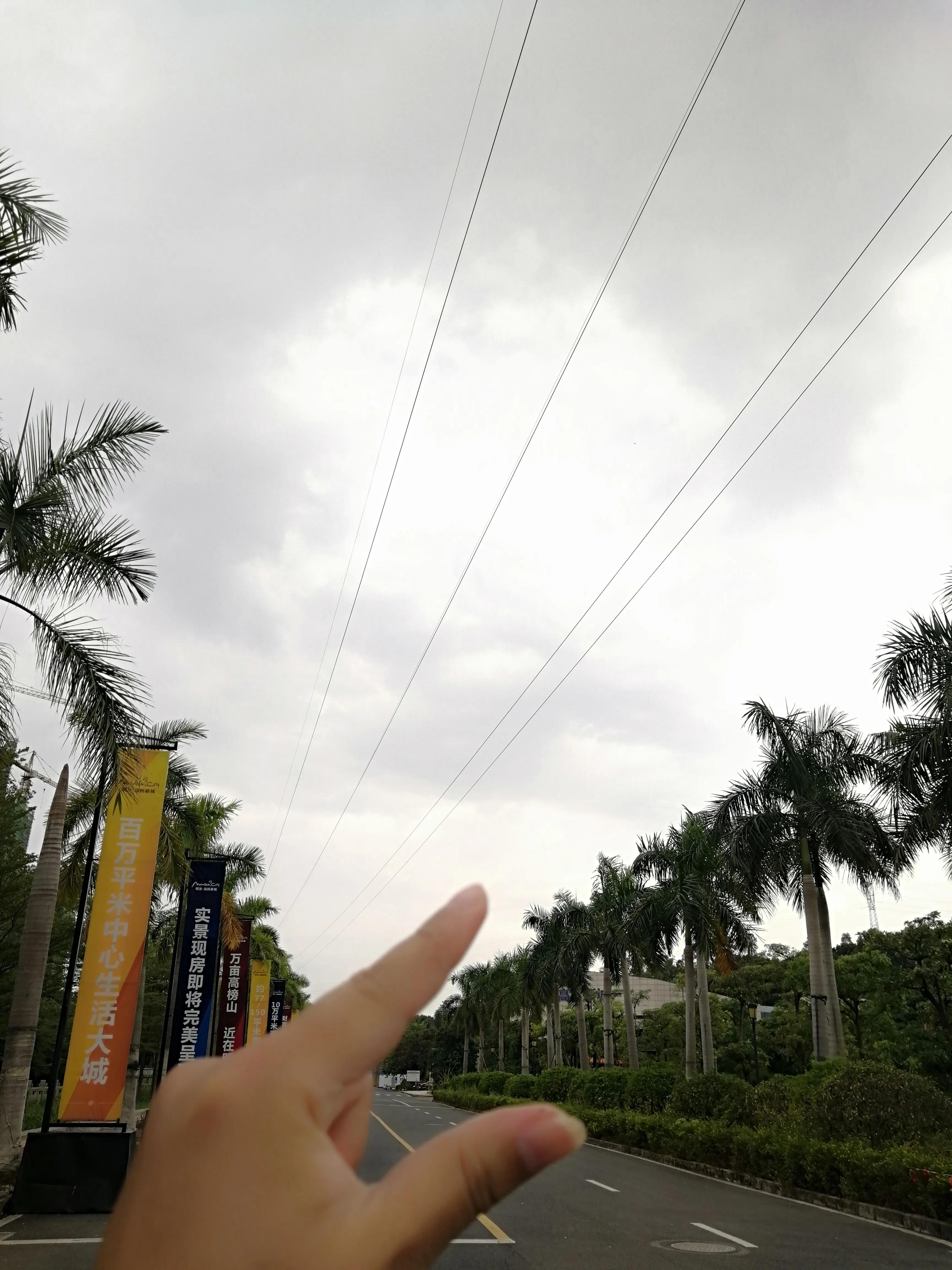 偌大的城市我的栖身之处在何处,偌大的城市容不下一个漂泊的灵魂