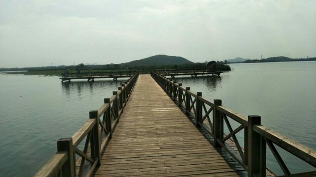 武汉后官湖湿地公园门票,武汉后官湖湿地公园线路图