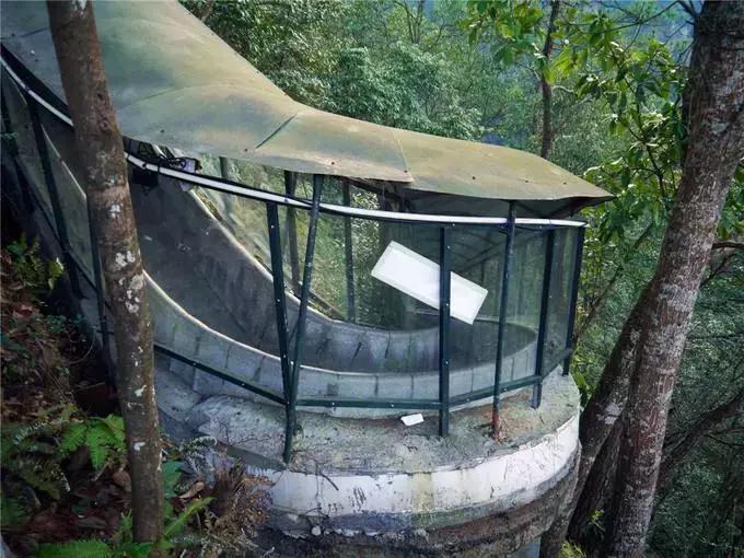 楠溪江的水有多美 (浙江楠溪江风景区怎么样)