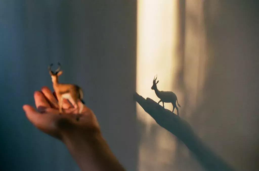 ​抖音高赞视频暴露残酷真相：“我是女生，把男朋友当狗怎么了”