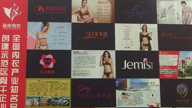 奥丽侬集团何炳祥,奥丽侬何炳祥内衣设计