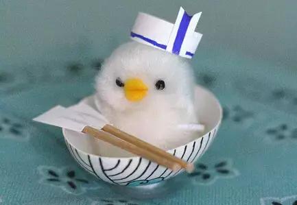 鸡蛋壳托盘手工作品创意,鸡蛋壳手工制作创意粘贴墙面画