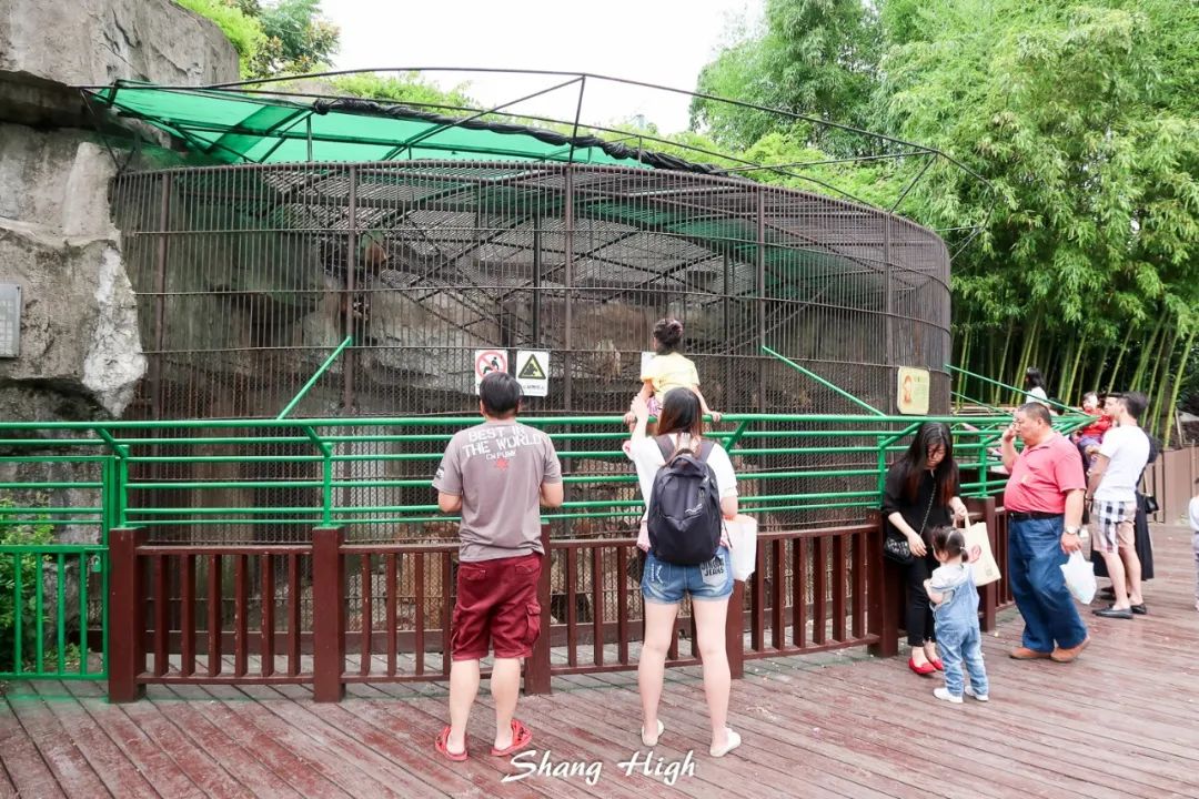 和平公园动物岛还有吗,和平公园可以喂动物吗