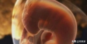 新生命如何诞生,新生命从哪开始的