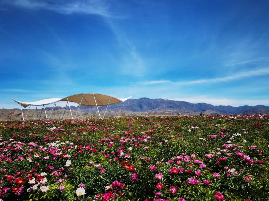 伊犁最美的50处绝色美景,伊犁最美的小众景点