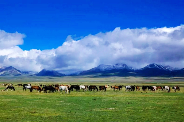 九曲十八弯河流,九曲十八弯水库