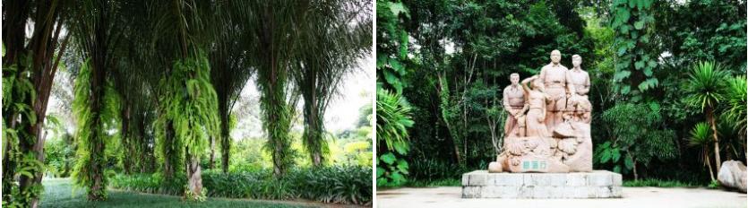 西双版纳景点、门票大全