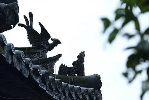 人转运前的征兆会遇到傻子吗,无名僧开示视频大全