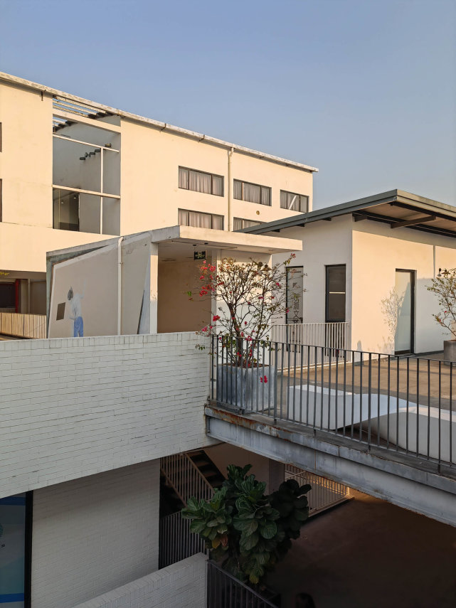 荣耀V40拍照体验:5000万像素大底果然不负众望