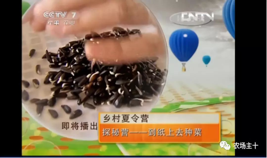 传统方法种菜也能致富的方法,纸上种菜怎么赚钱