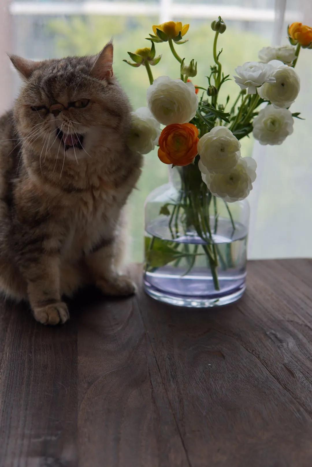 三生三世在古代到底指多少年,三生三世具体是指