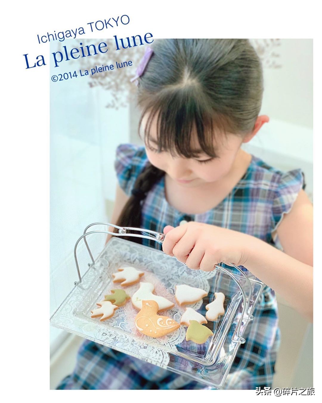 东京购物性价比最高,东京购物必买的几款女装