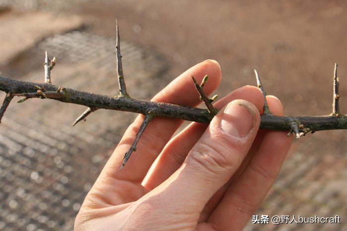 钓鱼神奇的鱼钩做法,钓鱼自制鱼钩视频