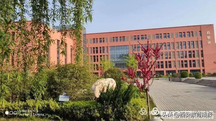 西安市55中学招体育特长生吗,西安市五区两县特长生报名时间
