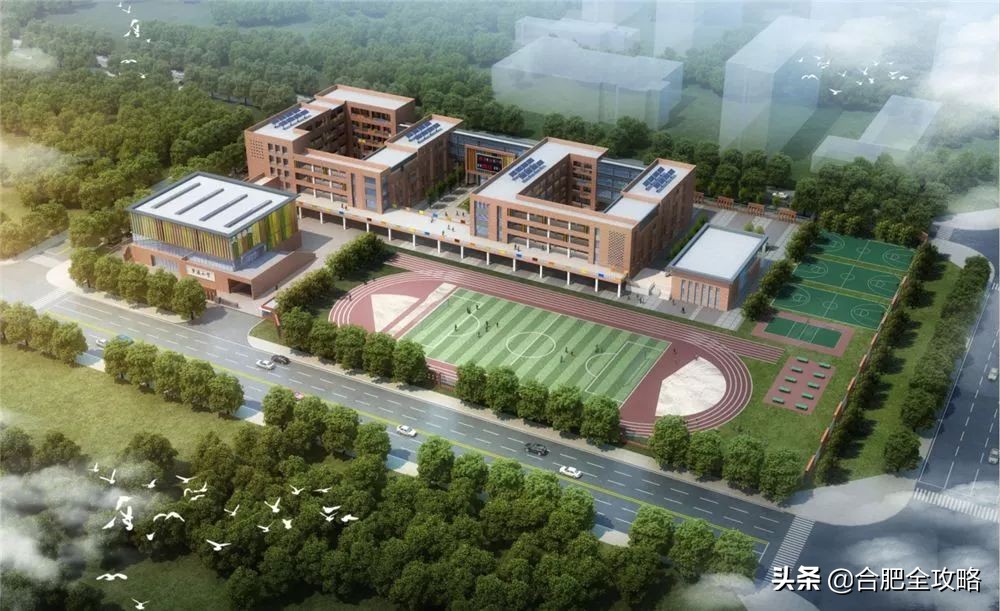 教育大爆发！新站5所学校同时招标！即将开建