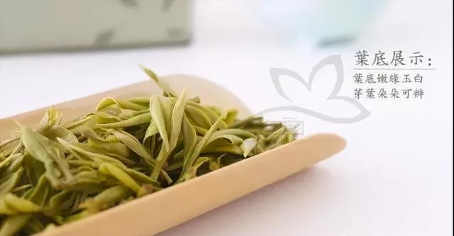 溧阳市枫香小筑民宿,溧阳天目湖最好的民宿