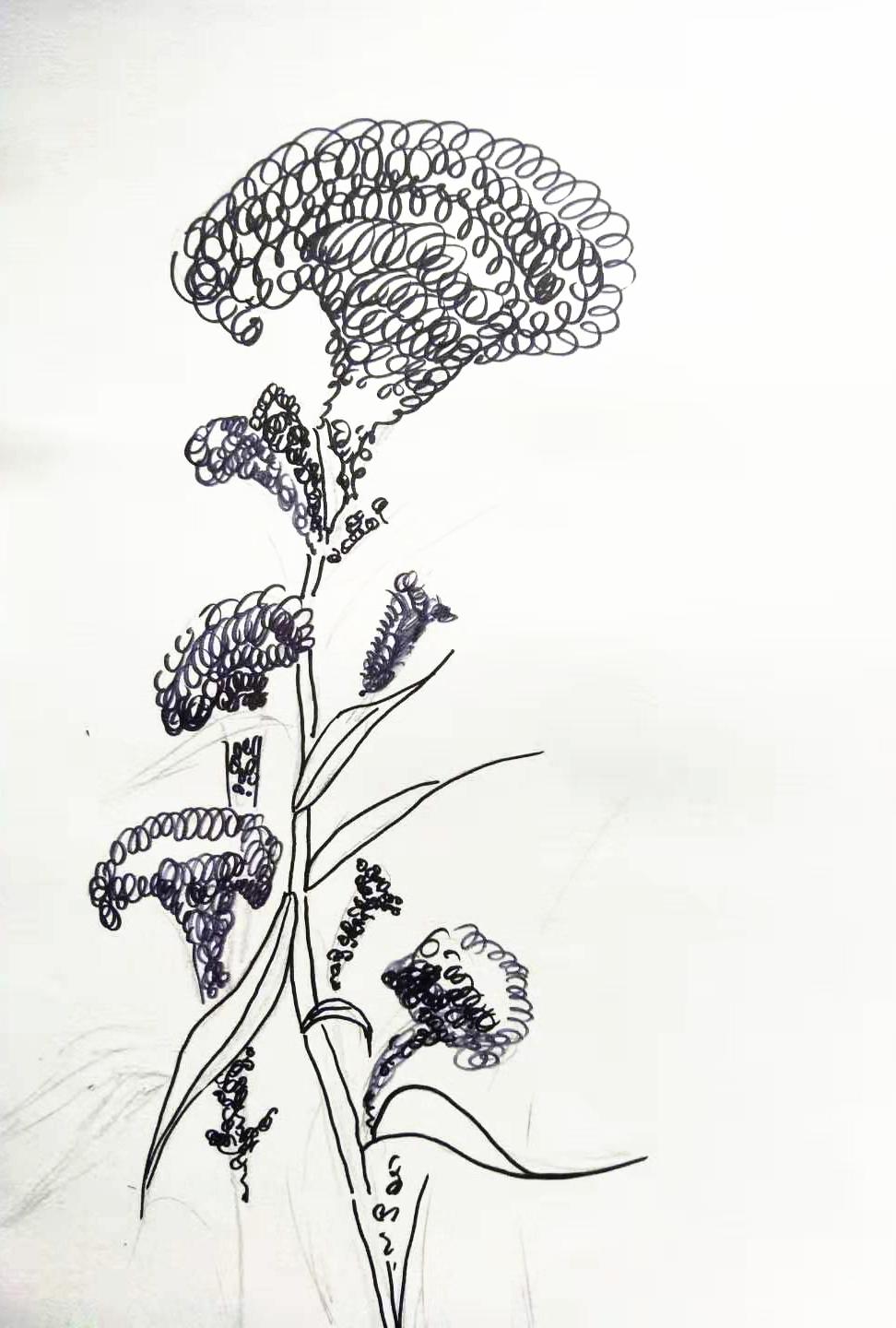 儿童画引导步骤,创意儿童画引导教程