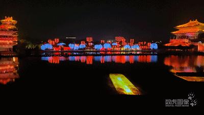 属虎,数虎图像深圳