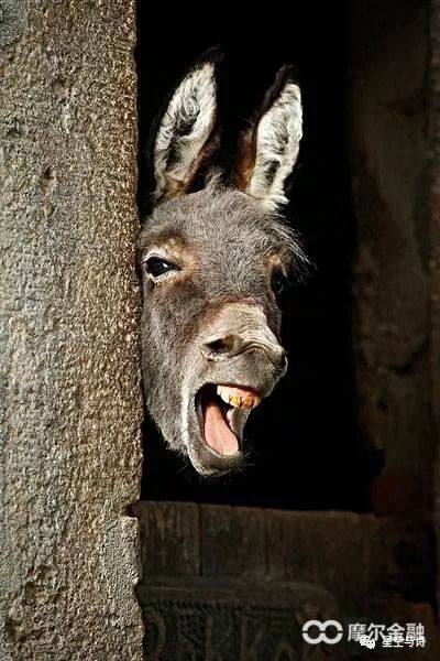 生物资产折旧年限,生物资产折旧