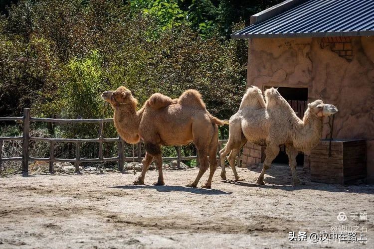 汉中户外遛娃好去处排行榜,汉中遛娃旅游景点有哪些