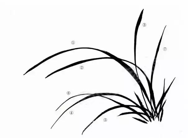 徐湛国画兰花的画法,徐湛国画兰花的画法视频教学