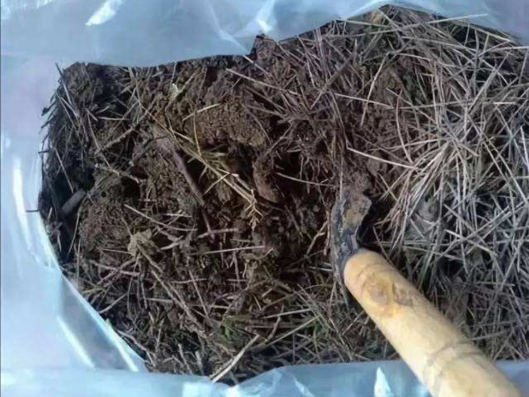 养花营养土在家怎么配制比较疏松,家庭养花怎样快速自做营养土