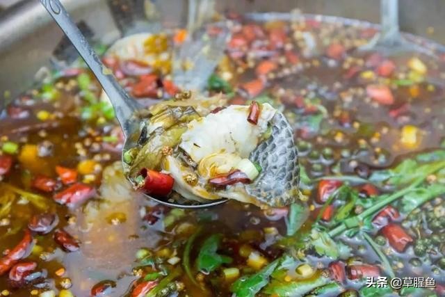 重庆解放碑附近苍蝇馆子前十名,重庆美食苍蝇馆子解放碑附近