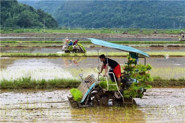 云南沧源县的风景,云南沧源最漂亮的地方