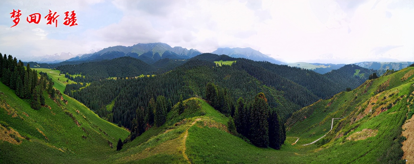 梦回新疆梦回拉萨,梦回伊宁草原视频