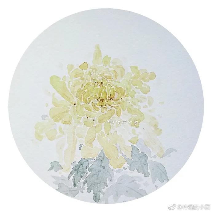 分享一组好看的小清新水彩插画,不来看看简单水彩小插画的教程吗