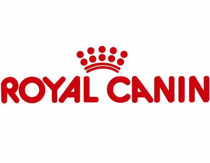 过年加餐？小心喂坏肚子——玻璃胃狗子的喂养心路历程