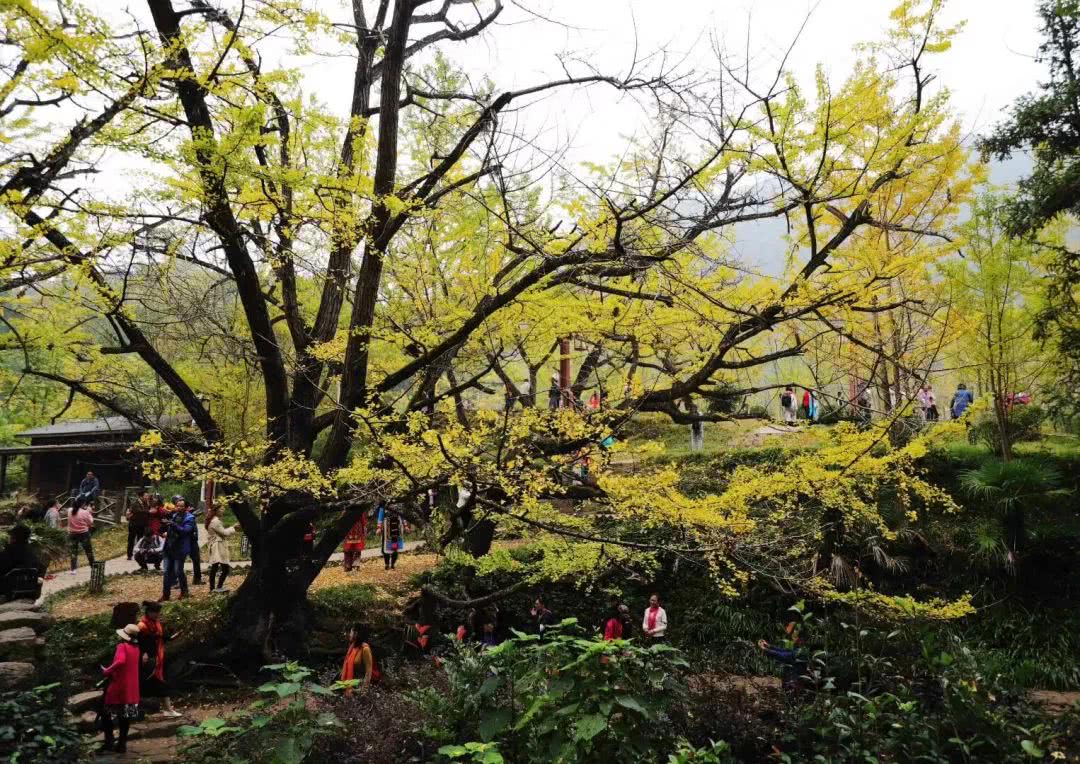 贵州的一个县市,煤炭远景储量380亿吨,气候好风景美可养老