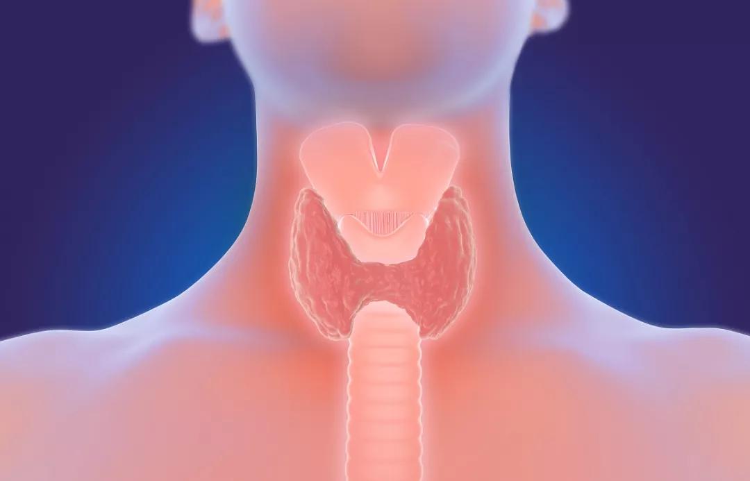 甲亢男性的10个症状表现,甲亢性心脏病的症状有哪些