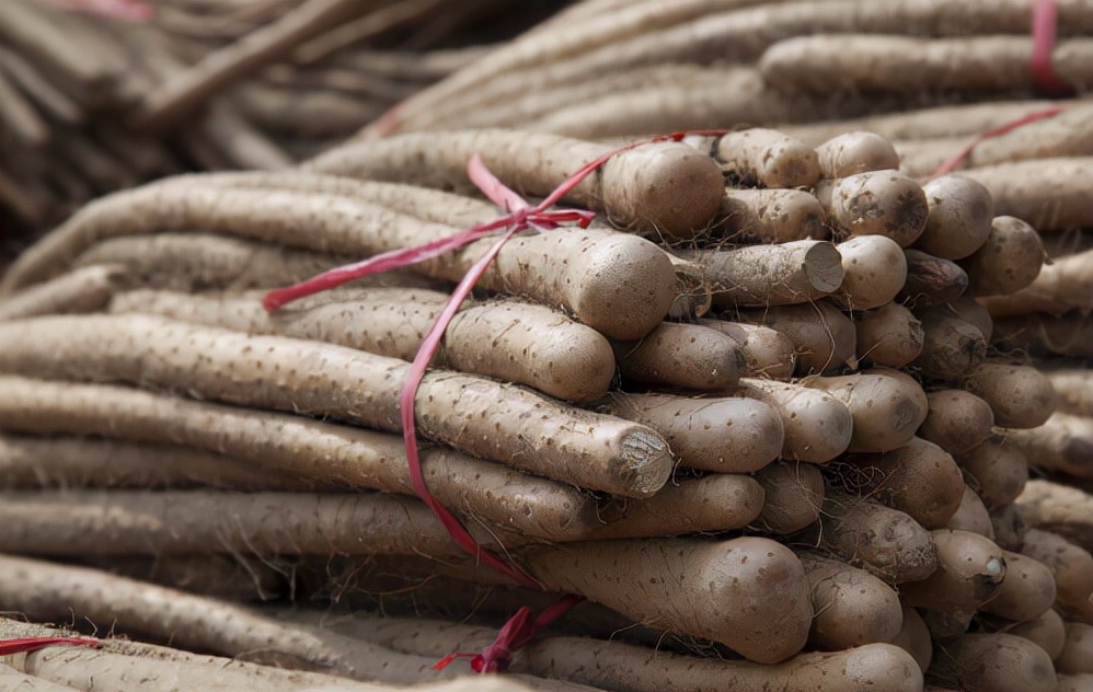 教你几个秘诀冬季食补养肝脏,养生春季易燥保肝养肝尤为重要