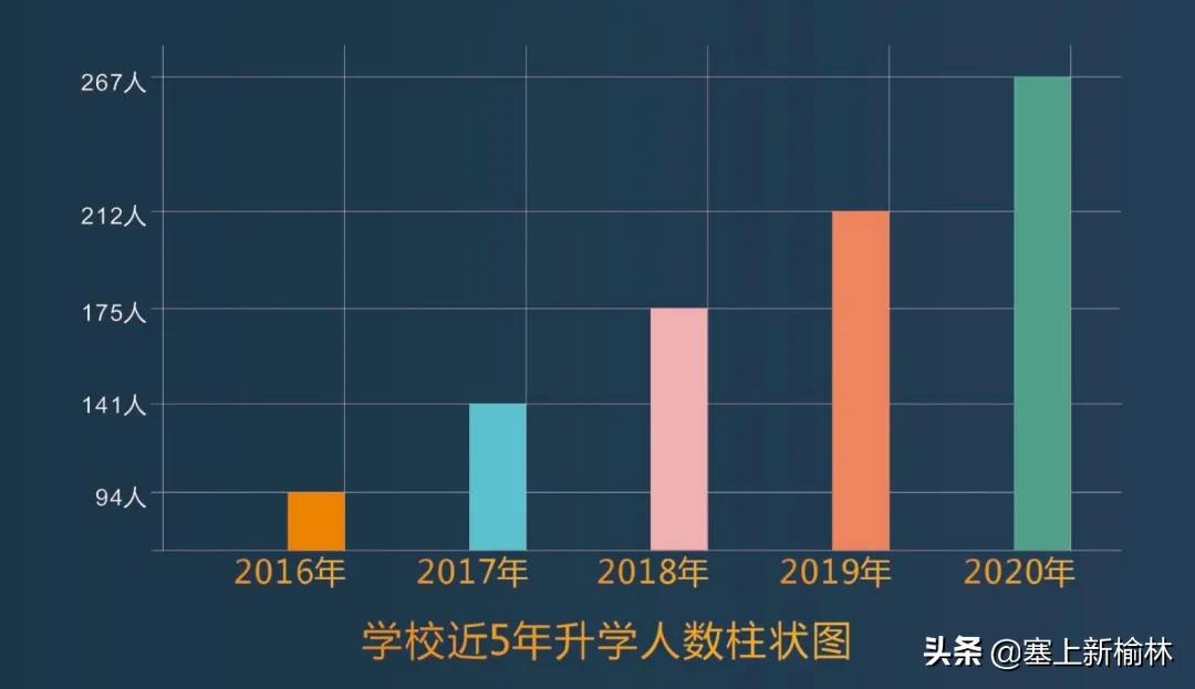 榆林二中2024艺术特长生招生人数,榆林二中艺体招生官网