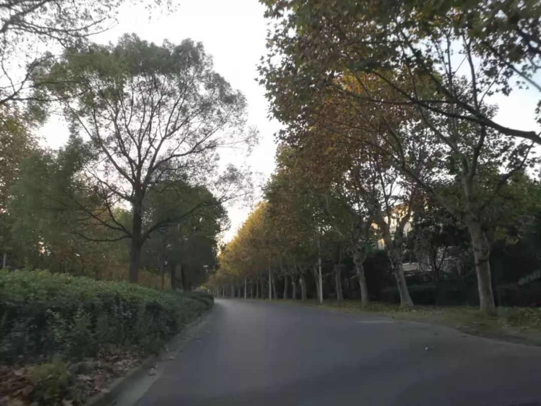 上海网红花桥,上海世博会过气网红