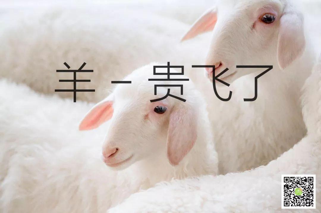 羊贵飞抖音团购,杨贵妃