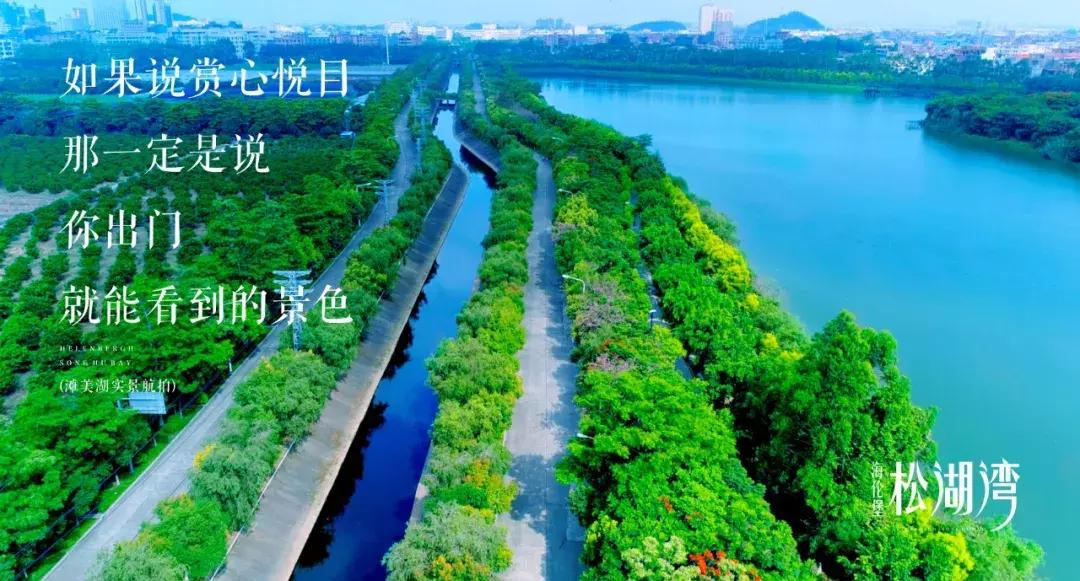 房有道正能量,房有道团购