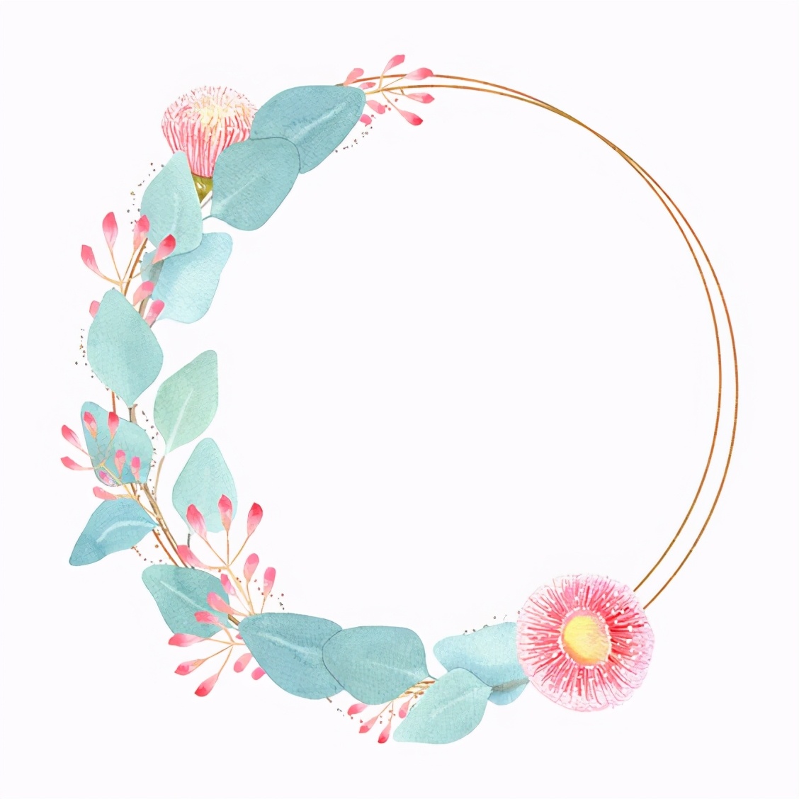 花花边框图片大全简单又漂亮,花花边框视频素材