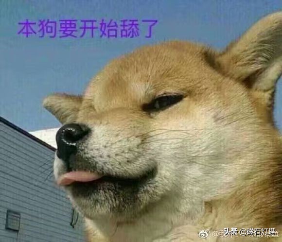 剑网3情缘,剑网情缘3