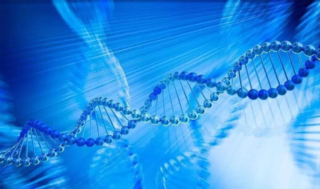 敏感肌不能用的护肤品成分有哪些,敏感肌禁用的护肤品成分有哪些