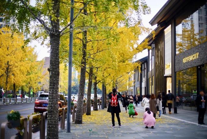 带不走的成都团购,带不走的成都火锅