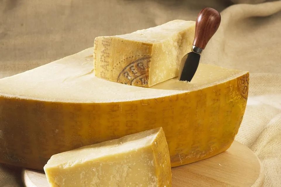 比牛奶好的食物,比牛奶更有营养的奶