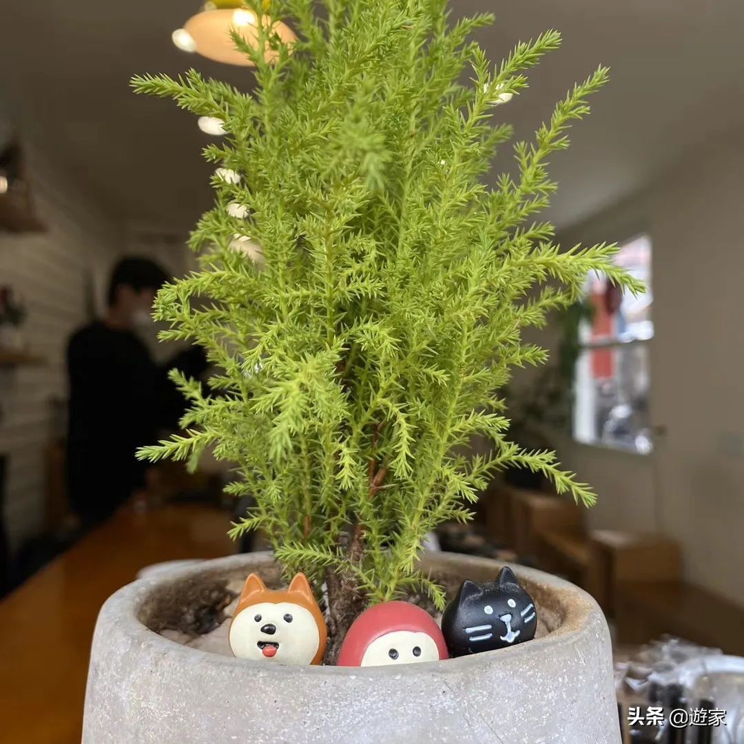 在人广约吗？别错过这些街角的“独立咖啡馆”